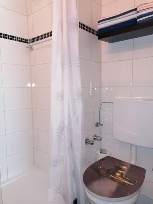 Apartma Traumblick Obertraun公寓 外观 照片